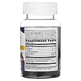 Nature's Way, Sambucus Relief, підтримка імунітету, бузину та південноафриканська герань, 36 жувальних таблеток оригінал, фото 2