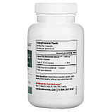 Real Mushrooms, трутовик різнобарвний, порошок екстракту грибів, 90 капсул оригінал, фото 2