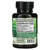 Emerald Laboratories, Здоров'я сечового міхура для чоловіків і жінок із сумішшю Urox, 60 рослинних капсул оригінал, фото 2