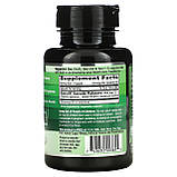 Emerald Laboratories, Фітосоми кверцетину, 250 мг, 60 рослинних капсул оригінал, фото 2