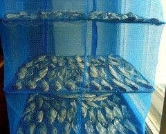 Сушарки, робимо таранку, сушарка для риби, для сухофруктів, грибів, 5 полиць, 45 х 45 х 100 см, фото 6