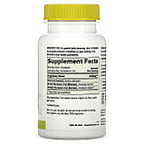 Banyan Botanicals, Трифала, 90 таблеток оригінал, фото 2