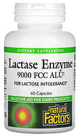 Лактаза 9000 60 капс (США) Natural Factors, Lactase Enzyme, 9,000 FCC ALU
