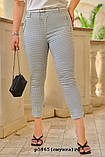 Капрі жіночі під пасок р5865(смужка) гл, фото 2