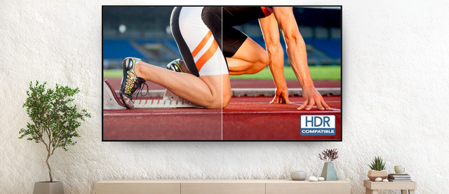 Optoma HD29HLV