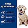 Корм Hill's Хиллс PD Canine W/D Diabetes Care 10 кг для собак при цукровому діабеті, ожиріннях, фото 4