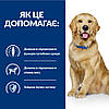 Корм Hills Хіллс PD Canine J/D Mobility 1,5 кг для собак для суглобів, зниження болю, у разі артритів, фото 4