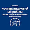 Корм Hills Хиллс PD Canine Gastrointestinal Biome 10 кг для собак при діареї, розладах ШКТ, фото 2