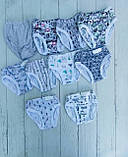 Трусики дитячі р.26/34; Опт. Україна, фото 2