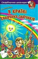 Книга - Нестайко В країні сонячних зайчиків