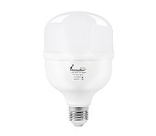 LED лампа Sirius 1-LS-3002 Т100-30W-6500K-E27