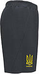 Шорти FED. FUTBOL UCRANIA Сірий S (AT102369B150), фото 2