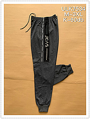 Чоловічі трикотажні штани НОРМА 7534 (в уп. рiзний колір) весна-осінь. Фабричний Китай.