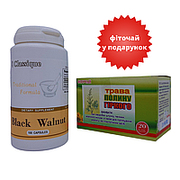 Набор Черный орех (Black Walnut) Santegra +Трава полыни горькой 1,5 гр 20 фильтр-пакетов