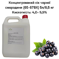 Концентрований сік смородини чорної (65-67ВХ) каністра 5л/6,5 кг