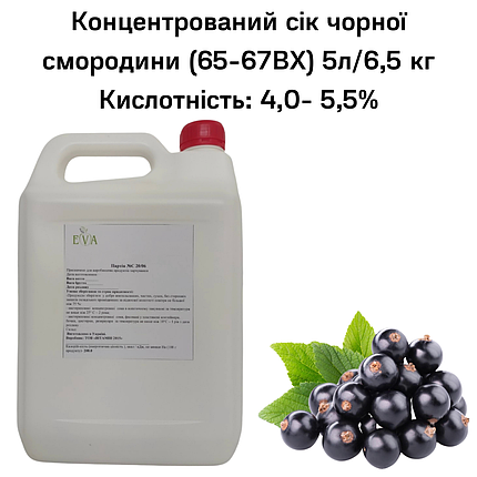 Концентрований сік смородини чорної (65-67ВХ) каністра 5л/6,5 кг, фото 2