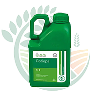 Гербіцид Лобера