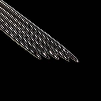 Шкарпеткові