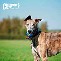 Іграшка Chuckit! ULTRA BALL тенісний м'яч ультра для собак середніх розмірів - M 2 шт., фото 3