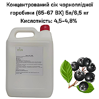 Концентрированный сок черноплодной рябины (65-67 ВХ) канистра 5л/6,5 кг