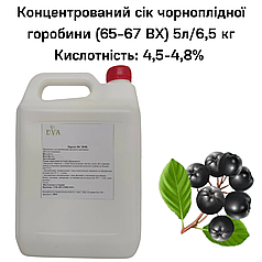 Концентрований сік чорноплідної горобини (65-67 ВХ) каністра 5л/6,5 кг