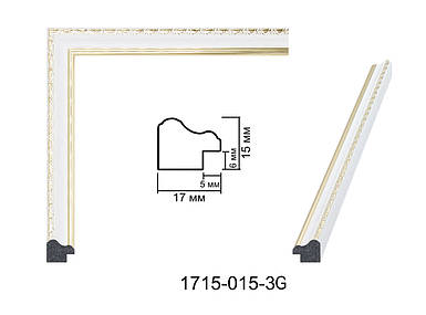 Фоторамка 30х45 см., біла із золотим обрамленням, багет 1715-015-3G