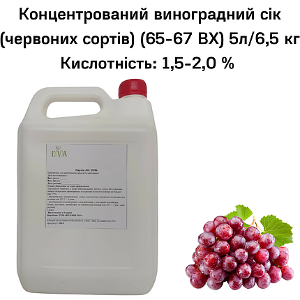 Концентрований виноградний сік (червоних сортів) (65-67 ВХ) каністра 5л/6,5 кг, фото 2