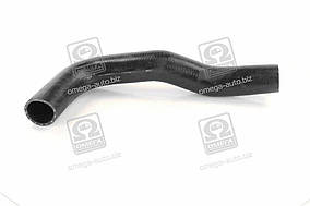 Патрубок радіатора ISUZU, Богдан Е2 нижній  DK8971773720