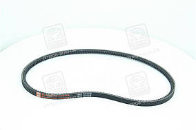 Ремінь AVX13х1018 зубч. ГАЗ 24  AVX 13х1018