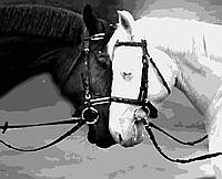 Картина по номерам лошади Инь и янь 50 х 60 см Artissimo PNX4290 dom-kazka