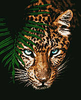 Картина по номерам леопард "Ягуар" 40 х 50 см Artissimo PN6604 dom-kazka