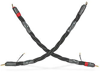 Акустичні перемички Synergistic Research Galileo Discovery