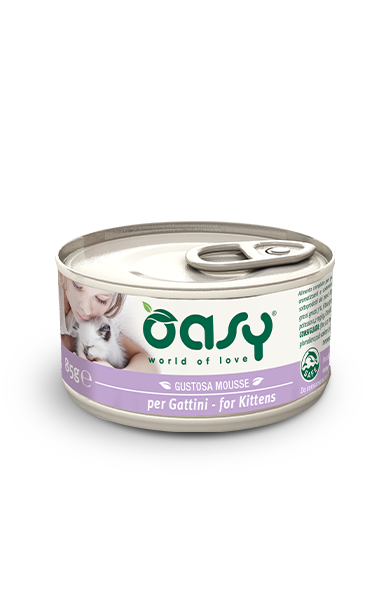 OASY CAT Kitten