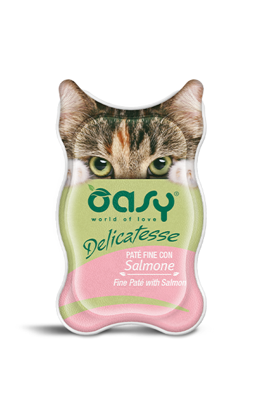 OASY CAT Лосось