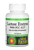 Natural Factors Lactase Enzyme 9000 FCC ALU 60 caps