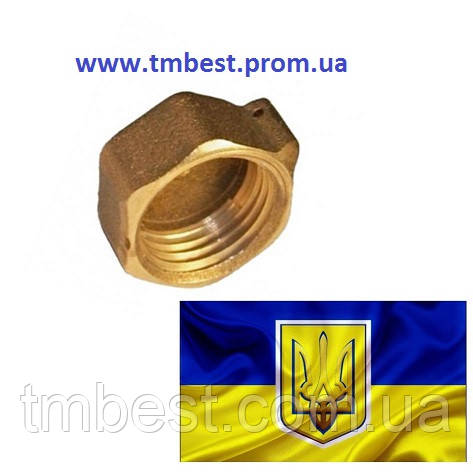 Заглушка 1/2" під пломбу латунна посилена