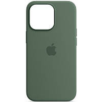 Чохол Silicone case (AAA) full with Magsafe для Apple iPhone 13 Pro (6.1") (Зелений / Eucalyptus) 51173