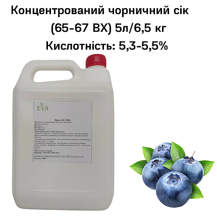 Концентрований чорничний сік (65-67 ВХ) каністра 5л/6,5 кг, фото 2