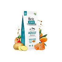 Беззерновий сухий корм Brit Care Adult Salmon Potato для дорослих собак Бріт з лососем і картоплею 3 кг., фото 3