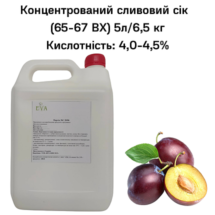 Концентрований сік сливовий (65-67 ВХ) каністра 5л/6,5 кг, фото 2