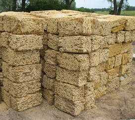 Ракушняк у Сумах