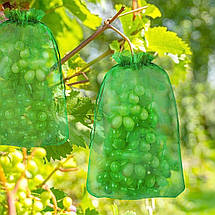Сіточка-рукав для винограду 28 х 39 см (для гроздья до 5 кг), фото 3