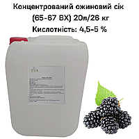 Концентрированный ежевичный сок (65-67 ВХ) канистра 20л/26 кг