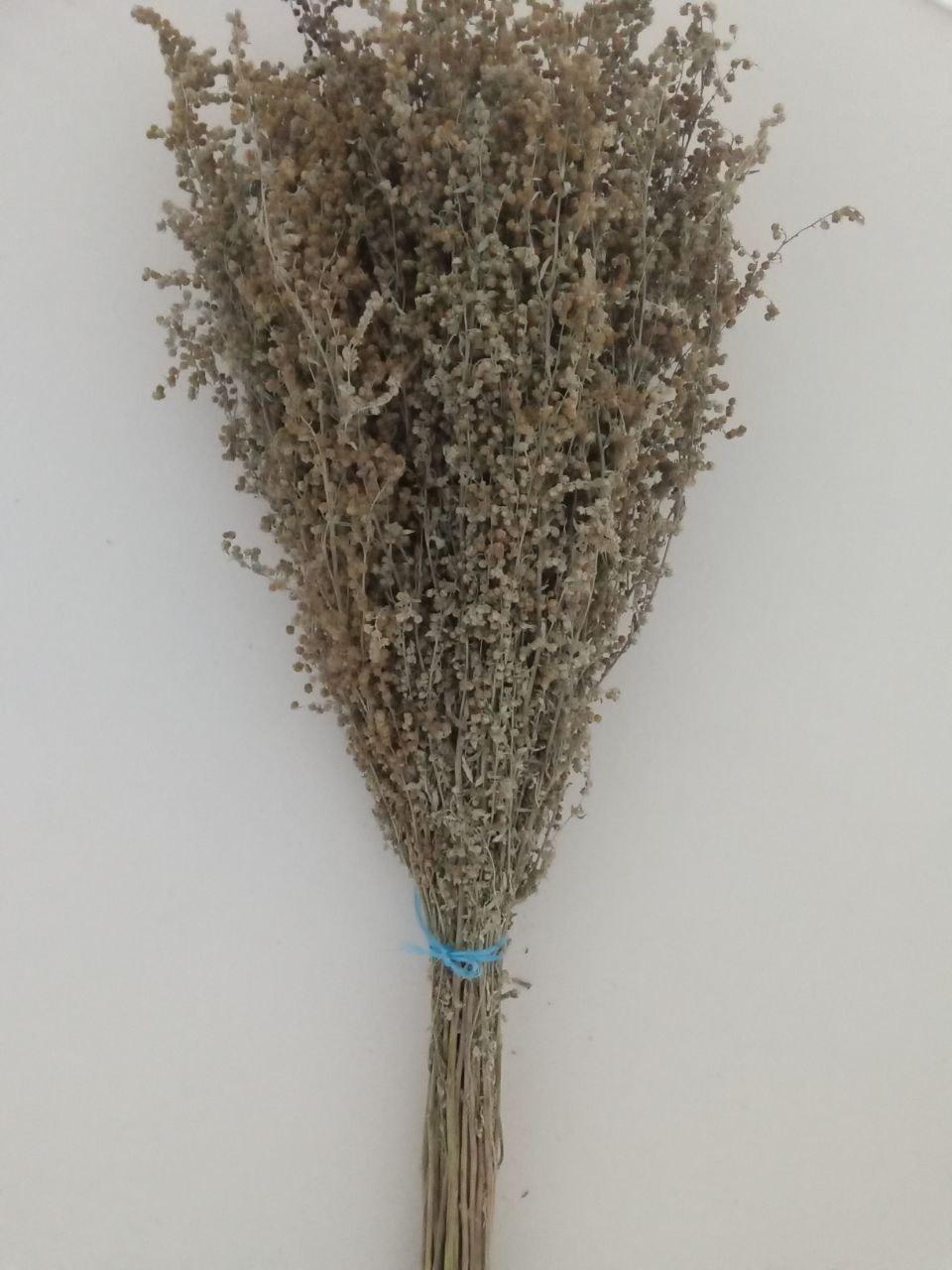 Ароматний віник для бані з Полину Гіркого, Довжина 55 см, фото 1