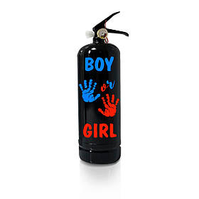 Вогнегасник для гендер паті "Boy or Girl" (3 кг.)