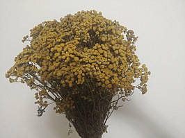 Ароматний віник для бані з Пижми, Довжина 55 см