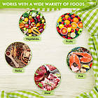 Сушарка для овочів фруктів дегідратор Zepline ZP 029 NA, фото 4