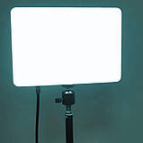 Світлодіодна прямокутна лампа для фото відео зйомки PL26 штатив 2м LED прожектор портативний Ra95+, фото 8