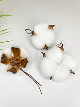 Бавовна натуральна