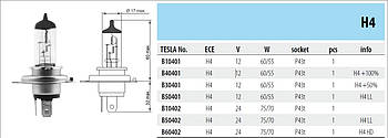 Автомобільна лампа тип H4 (12 V, 60/55 W, P 43 t) B 10401